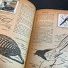 Golden Play Book of Bird Stamps Complete 1953 Vintage