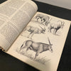 Safari-Mzuri-Sana Wallace Taber Signed 1955 First Edition Book